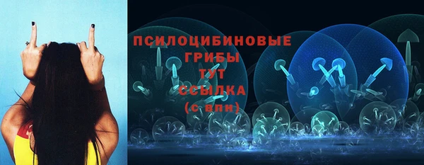 jwh Инсар