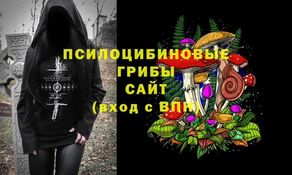jwh Инсар
