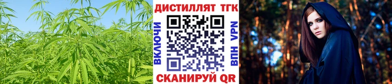 Купить закладки  Белоярский  ТГК жижа 